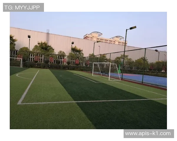 真草足球场造价分析及影响因素探讨助您合理预算和投资决策